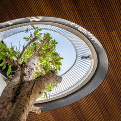 Ceilingo Soffit Wall Panel Nutty Oak 2005